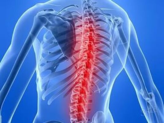 заболевание позвоночника вызывает боль в спине