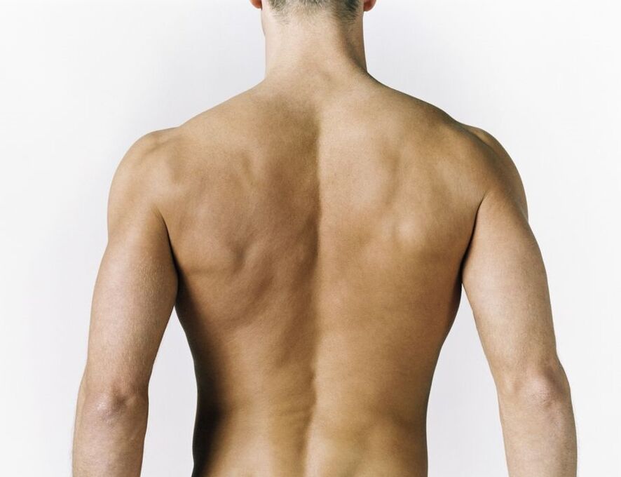 воспаление мышц спины как причина болей между лопатками